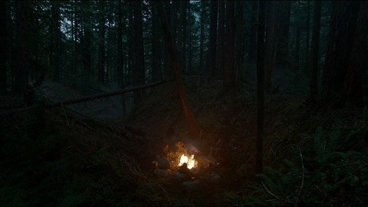 The Revenant