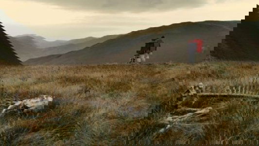 Sightseers