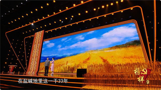榜样