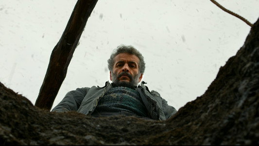 Ahlat Ağacı
