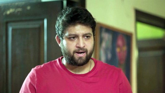 জামাই এল ঘরে
