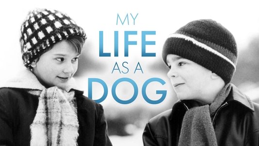 Mitt liv som hund