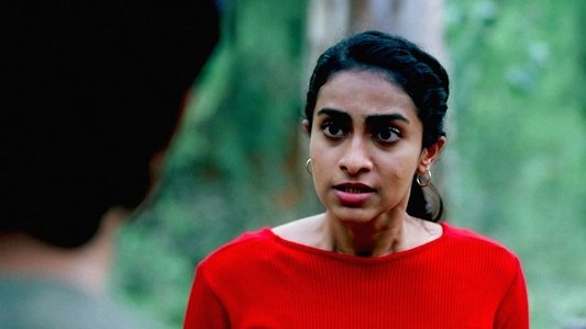 ஒரு கோடை Murder Mystery