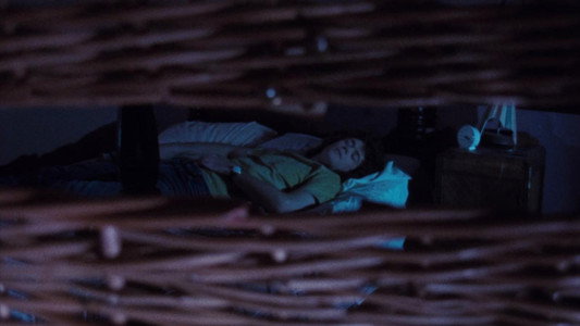 Basket Case