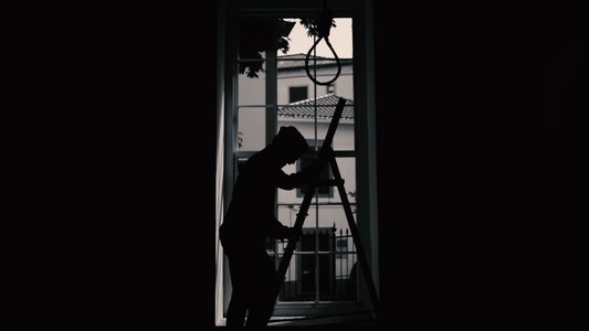 Melodies of a Mute Life