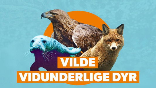 Vilde vidunderlige dyr