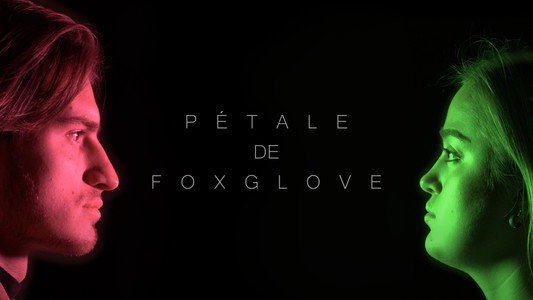 Pétale de Foxglove