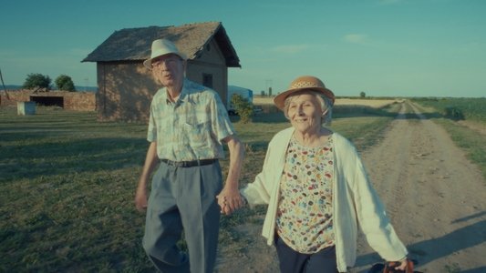 Restitucija, ili, San i java stare garde