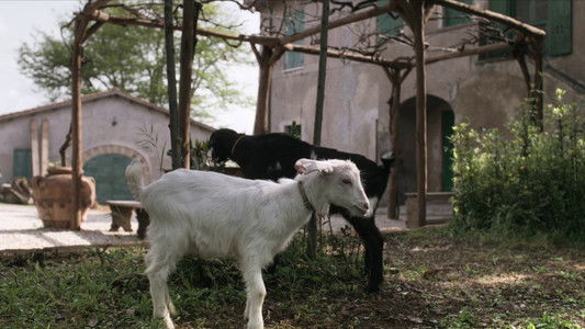 I Don't Understand You