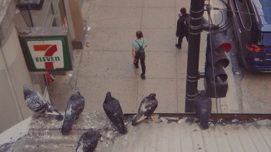 အိမ်သတင်းများ