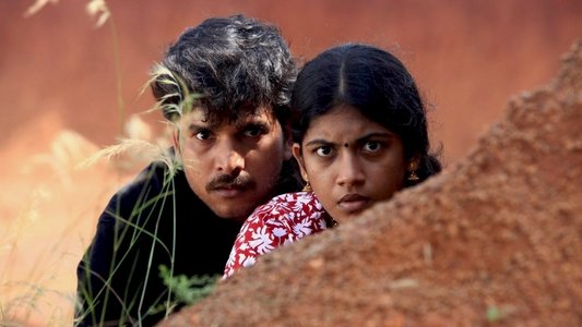 முந்திரிக்காடு