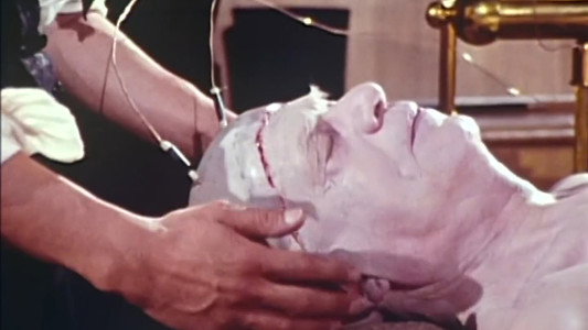 Frankenstein : Une histoire d'amour