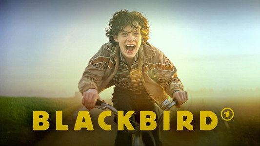 Blackbird