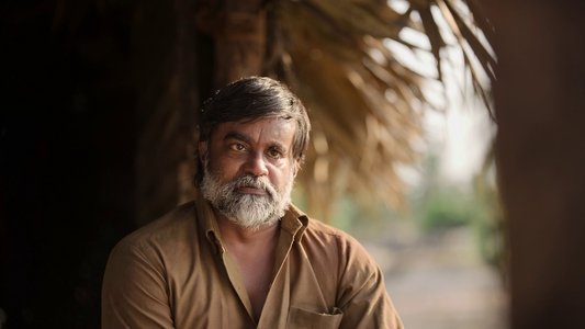 சாணிக் காயிதம்
