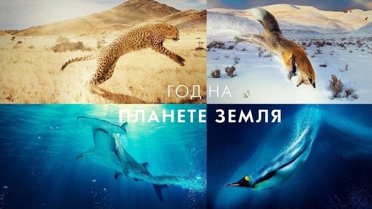 A Year on Planet Earth