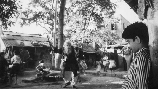 মেঘে ঢাকা তারা