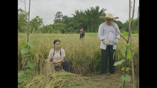 Sebayan