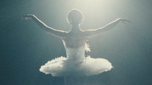 Black Swan