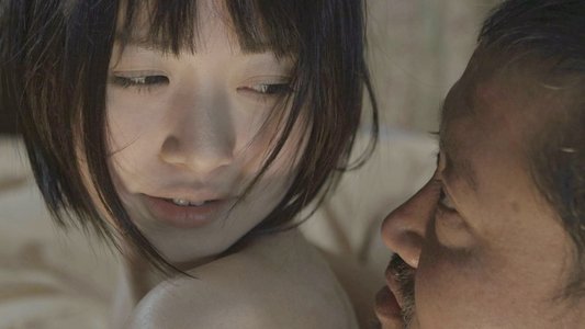 淫暴の夜　繰り返す正夢