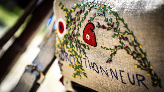 Au bord des routes