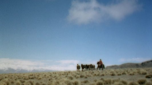 Way of a Gaucho