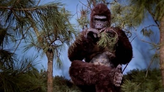 Ape