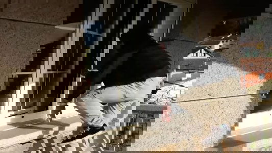 Arma Fatal. Cortometraje de 4º para Informática.