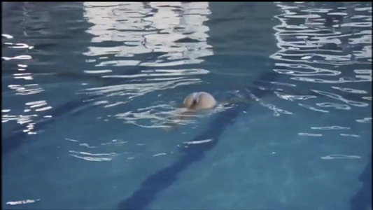 はみ出しスクール水着