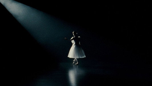 Black Swan
