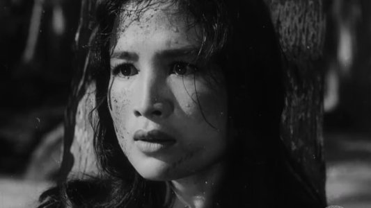 Vĩ Tuyến 17 Ngày Và Đêm