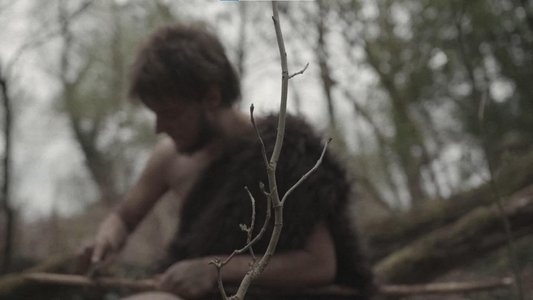 Primitiv