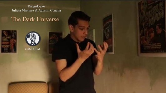 The Dark Universe