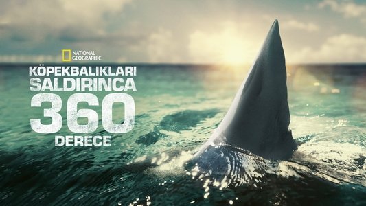 When Sharks Attack 360