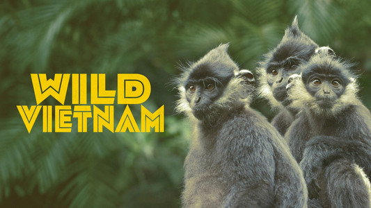 Wild Vietnam