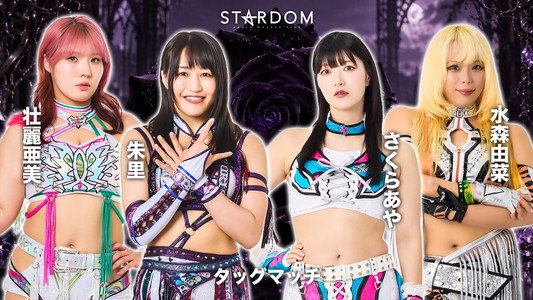 STARDOM SILVER WEEK TOUR 2026 in FUKUYAMA