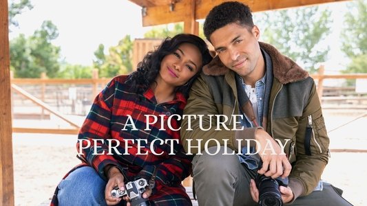 A Picture Perfect Holiday