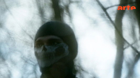 Terrorisme d'ultradroite