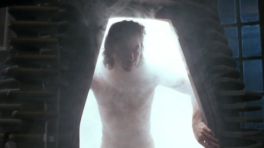 The Fly