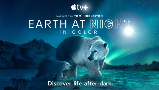 Earth at Night in Colour