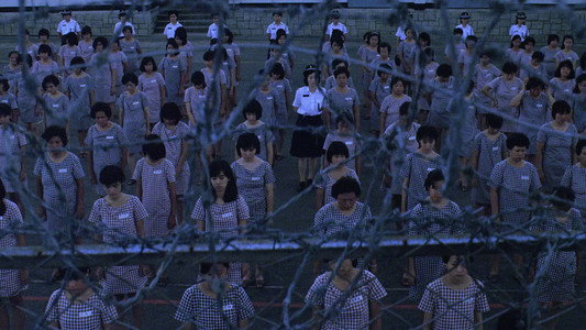 第一繭