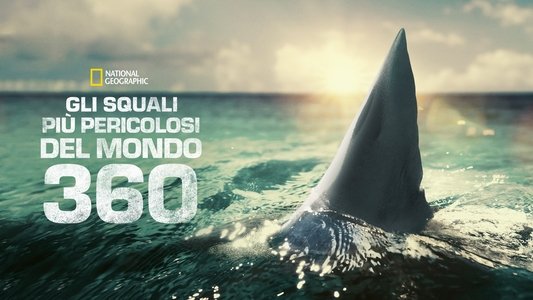 When Sharks Attack 360