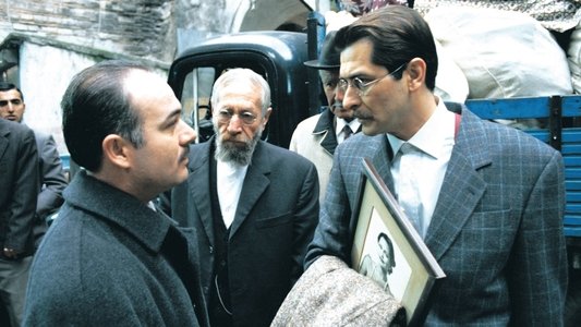 Salkım Hanım'ın Taneleri