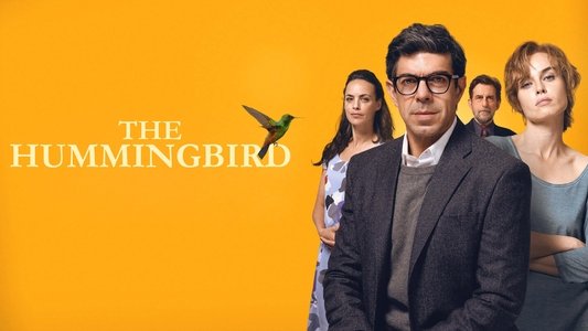Il colibrì