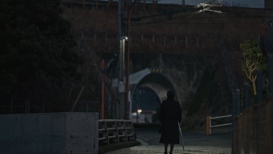 ブラッシュアップライフ