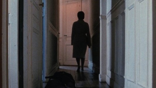 L'Homme à la valise
