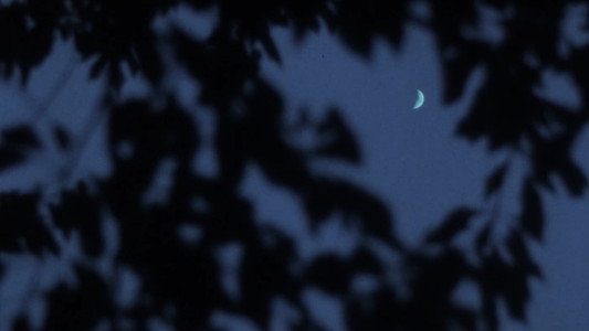 Nostos: il ritorno