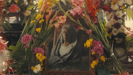 El Cortejo