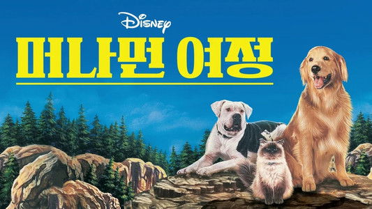 Homeward Bound: The Incredible Journey