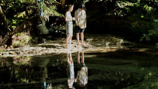 L'Illusion de Yakushima