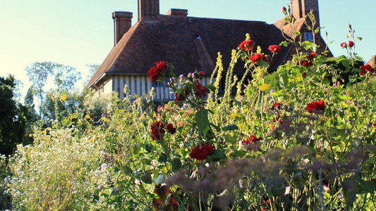 Great British Gardens: Season by Season with Carol Klein